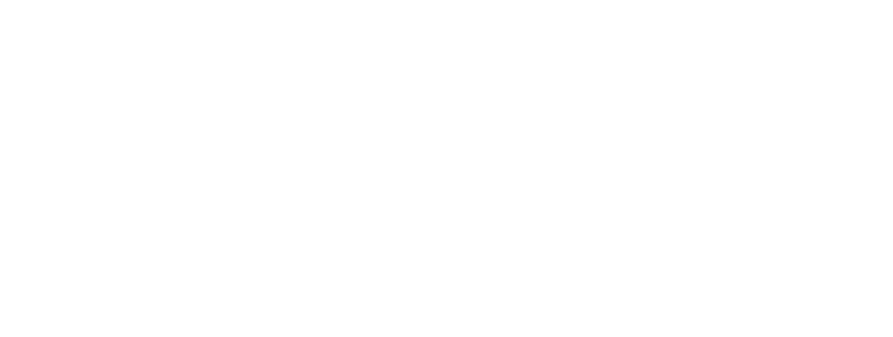 Logo | NPP Trading Co.